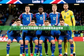 2025云开体育app网页版入口冰岛队在预选赛中以稳健表现成功晋级