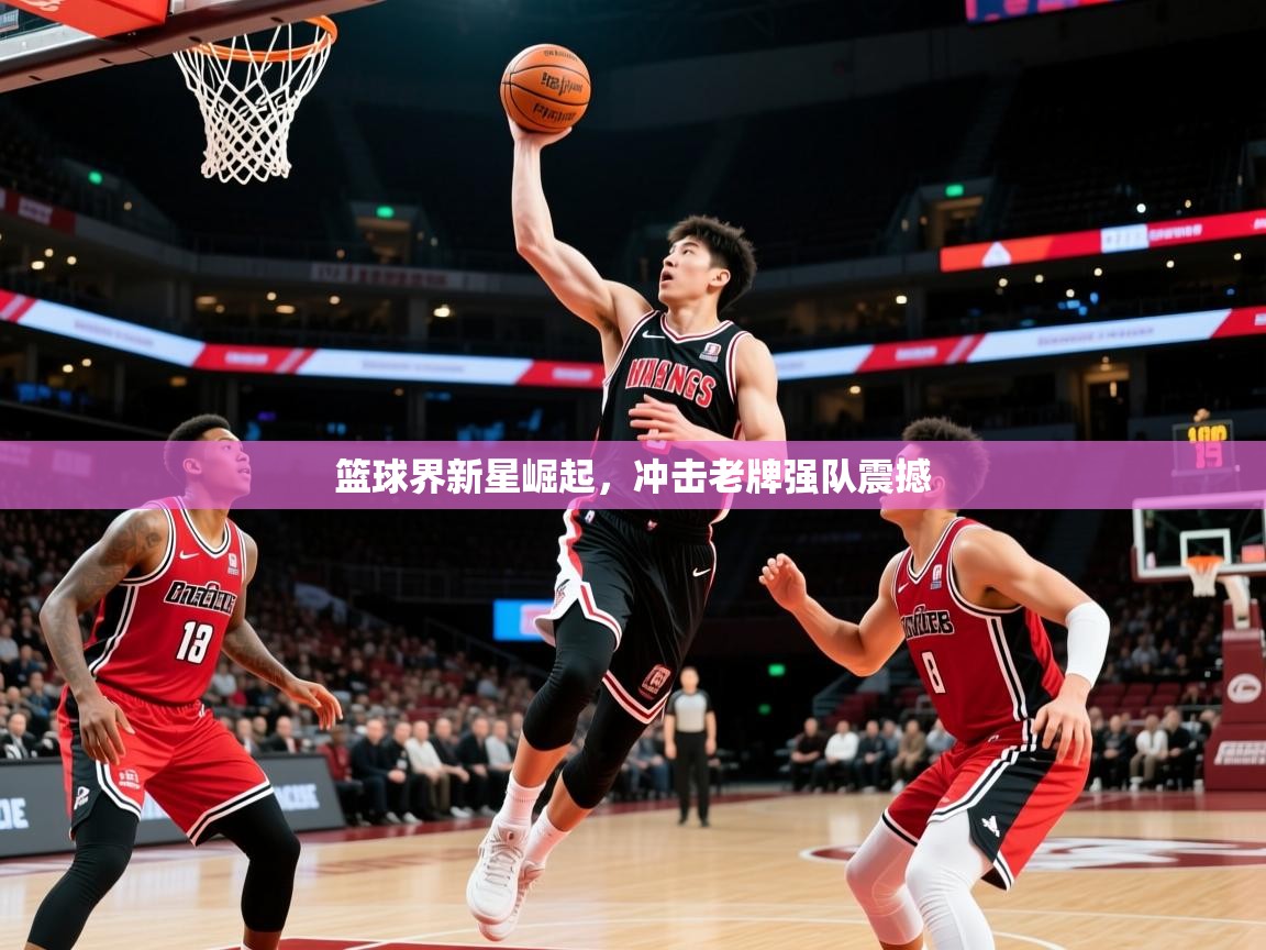 2025云开体育官网篮球界新星崛起，冲击老牌强队震撼  第3张